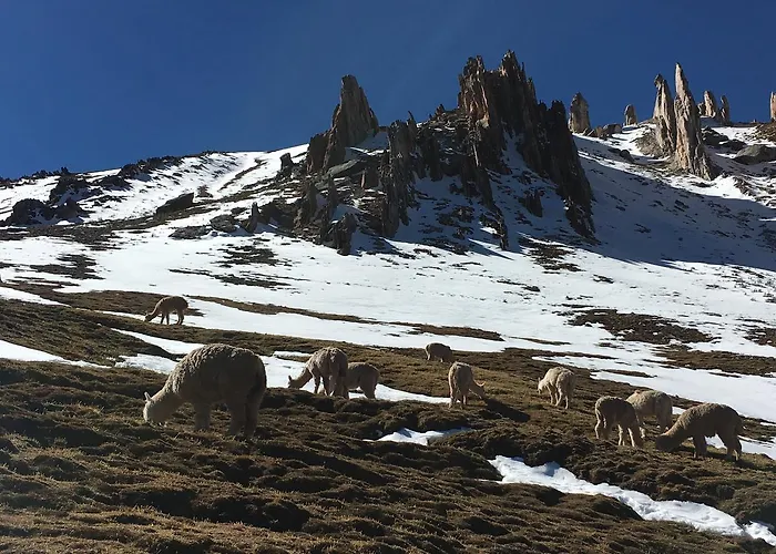Andean Rooftop Guesthouse Hostal *